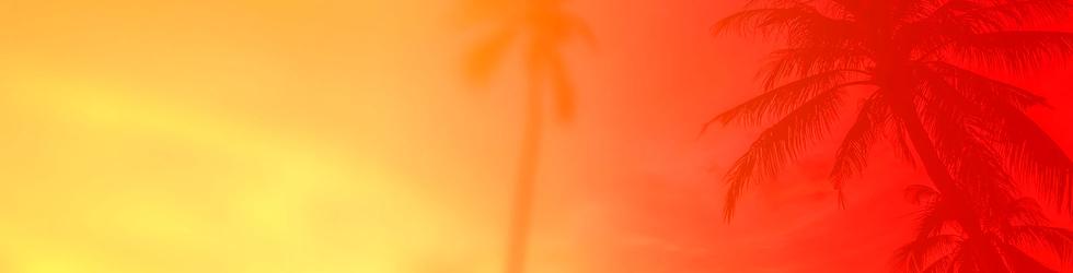 Extreme Dildos Sunset Novelties Extreme Dildos Sunset Novelties