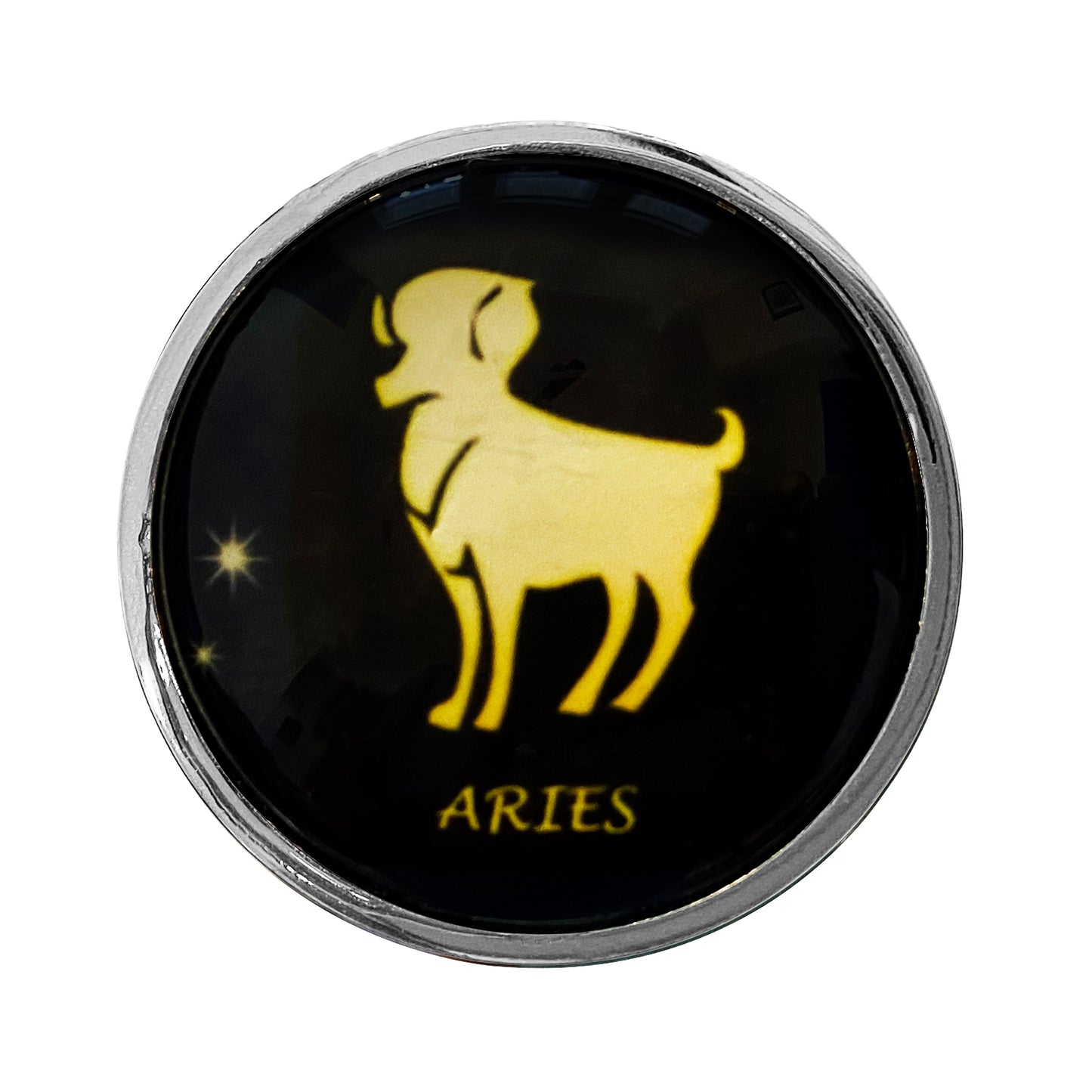 Zodiac Stainless Butt Plug, Aries