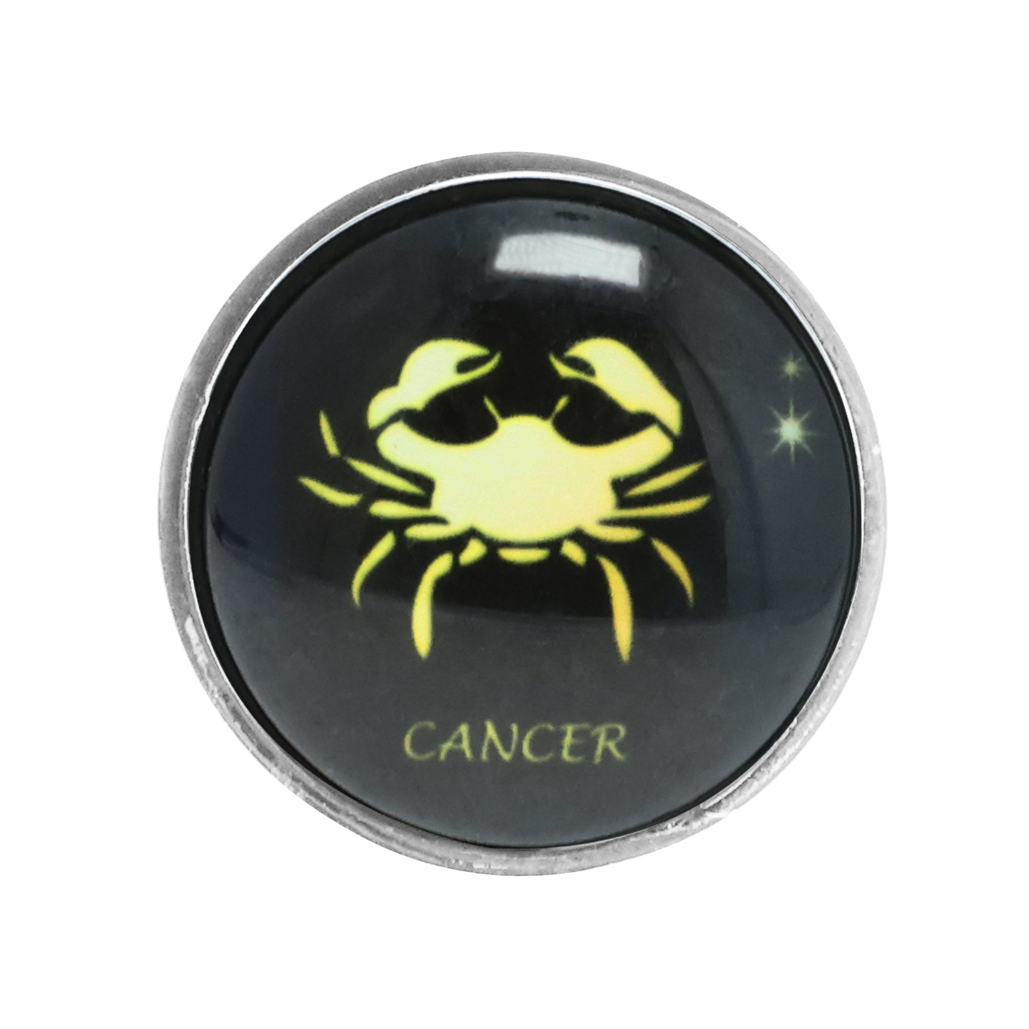 Zodiac Butt Plug, Cancer