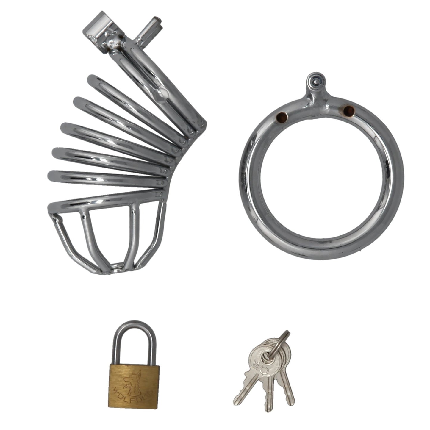 Locking Penis Cage