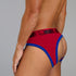 53X BRIEF