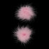 EROGENOUS ZONE FEATHER PASTIES