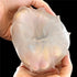GIANT EGG TRAINING MASTER STAMINA NODULES MASTURBATOR