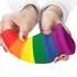 6" PRIDE RAINBOW ANAL PLUG