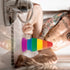 6" PRIDE RAINBOW ANAL PLUG