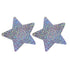 SILVER SEQUIN STAR PASTIES