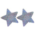 SILVER SEQUIN STAR PASTIES Immense Pleasure Products