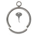 COLLAR STAINLESS ROUNDED WITH LOCKING KEY 53X