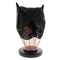 UNTAMED BLACK VINYL LEATHER CAT WOMAN MASK ONE SIZE
