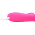 Clitoral Suction Rabbit Vibrator - the Swish