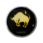 Zodiac Stainless Butt Plug