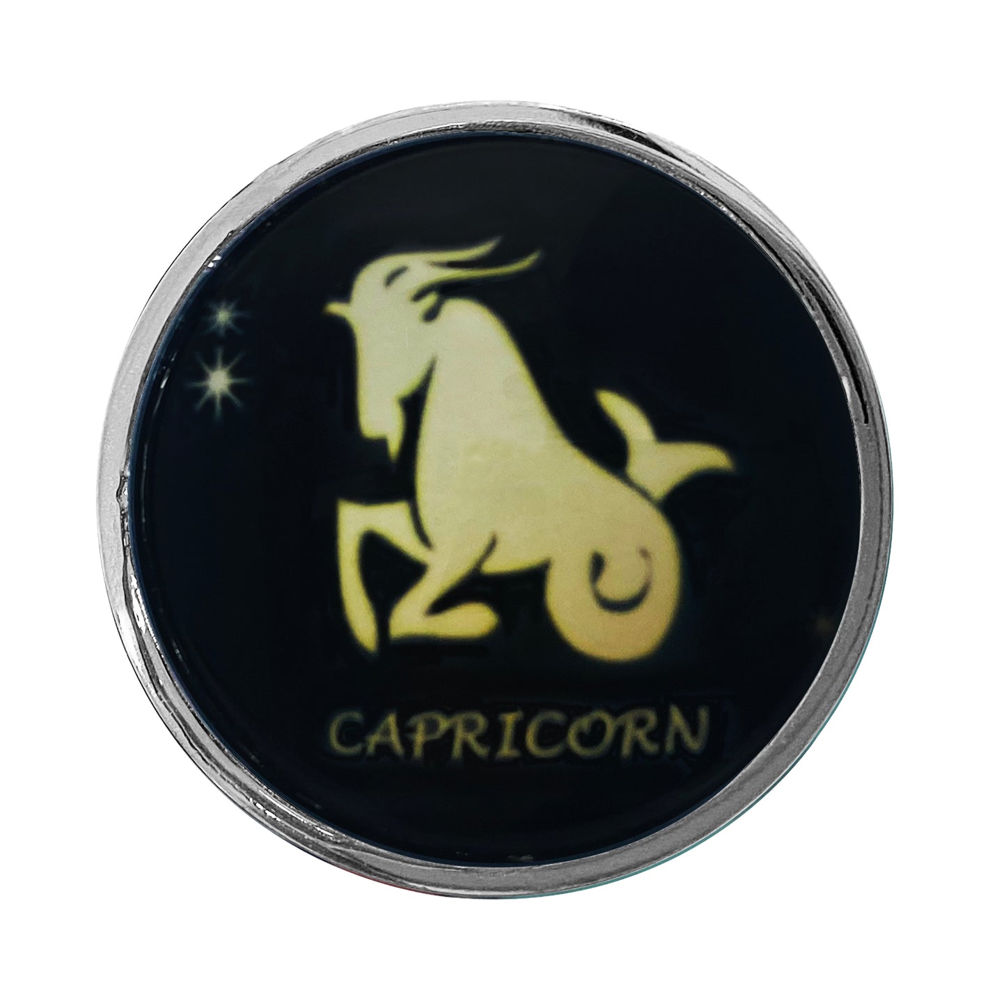 Zodiac Stainless Butt Plug, Capricorn
