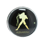Zodiac Stainless Butt Plug